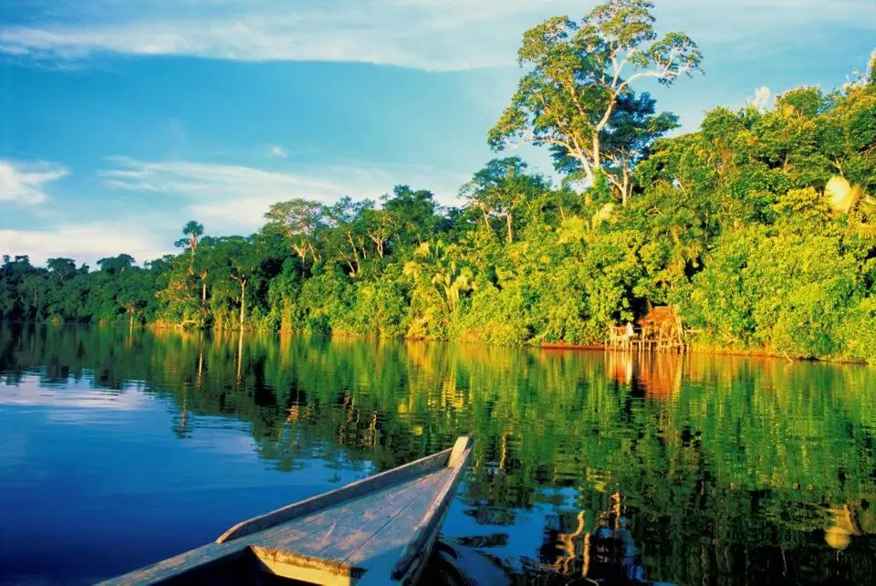 Parque nacional del manu peru
