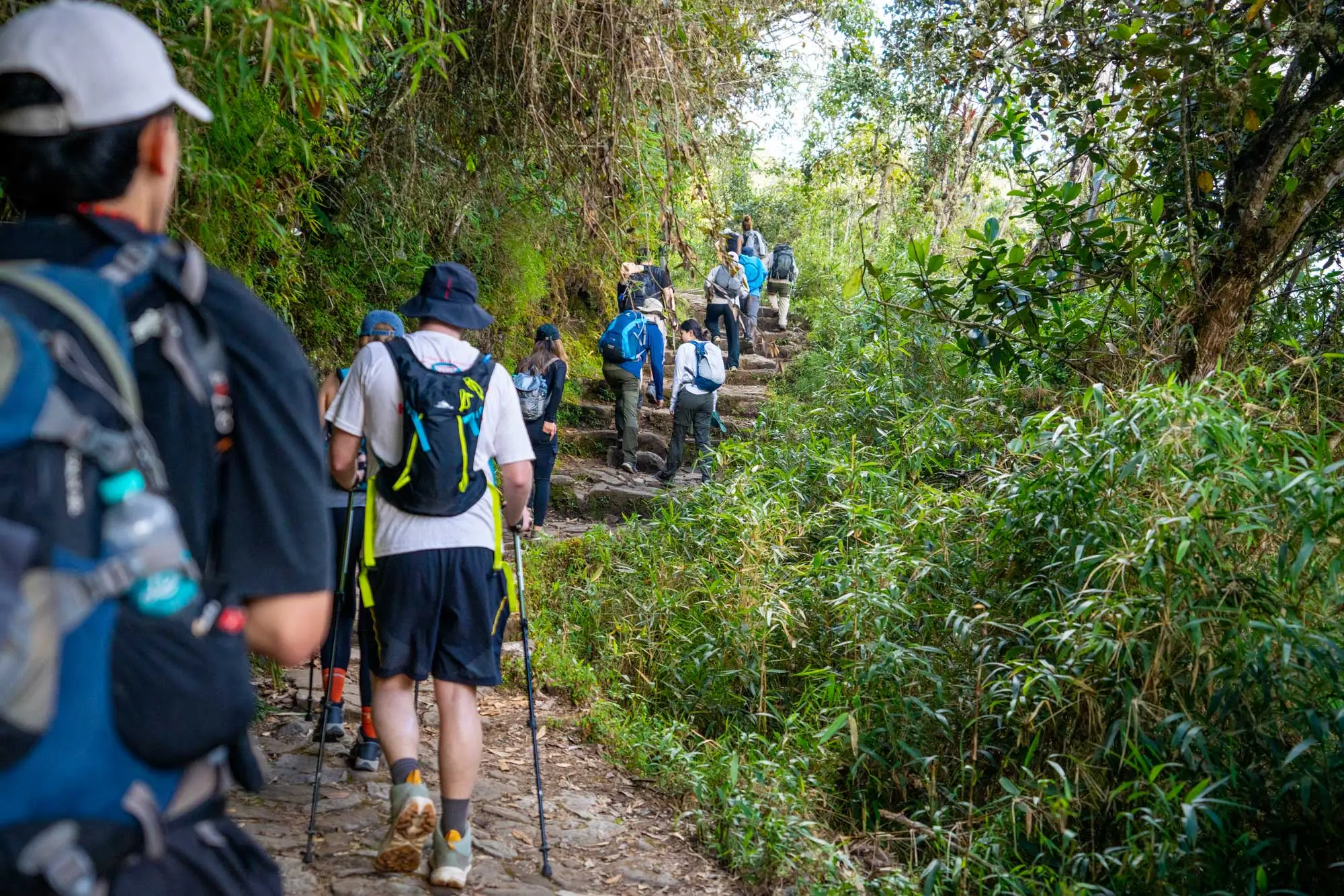 Experiencias del Camino Inca